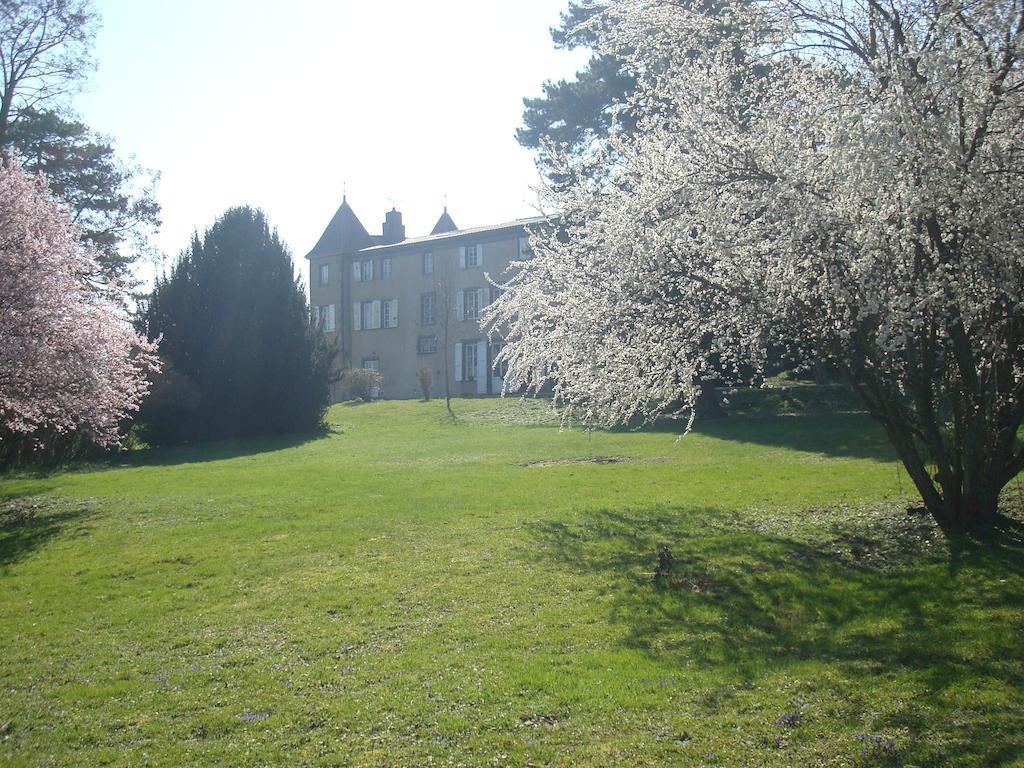 Chateau De Bourrassol Panzió Menetrol Kültér fotó